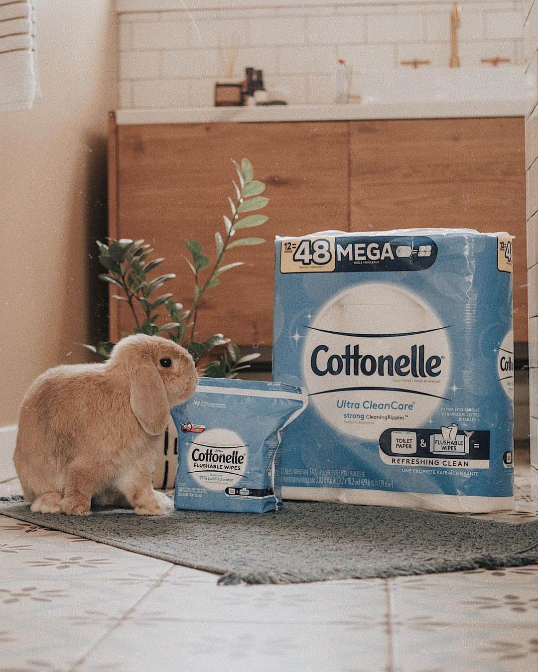 W E Y L I Eのインスタグラム：「#ad Awkward moment when you have to tell your bunny your toilet paper is softer 😂 Ok seriously tho, I’m obsessed with the @Cottonelle Ultra CleanCare toilet paper because it’s soft but SO strong. The CleaningRipples remove the mess better than any other! I pair it with Cottonelle flushable wipes for a super refreshing clean #downtherecare」