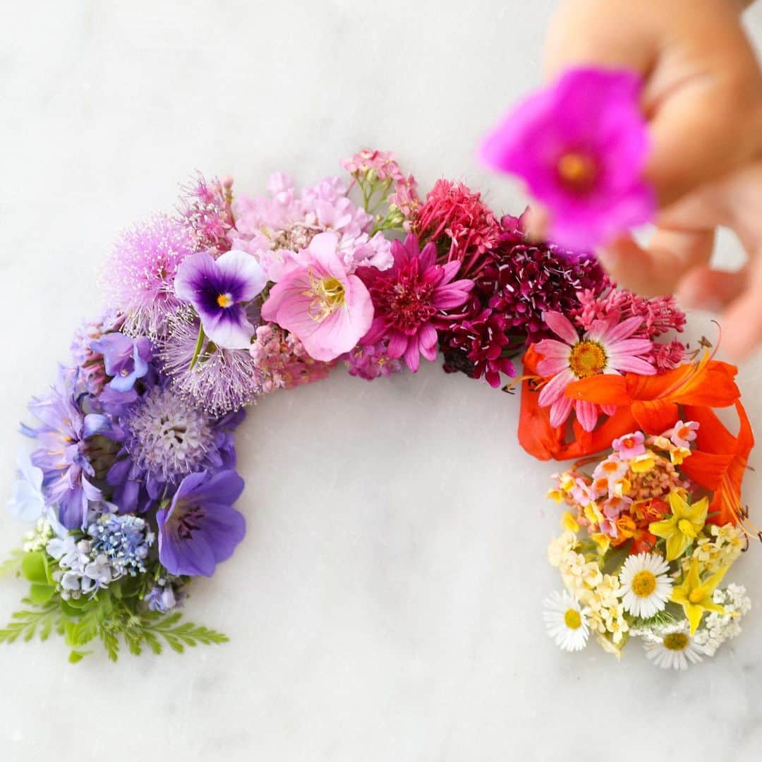 ローレン・コンラッドのインスタグラム：「Celebrating #PrideMonth in our garden ❤️🧡💛💚💙💜」