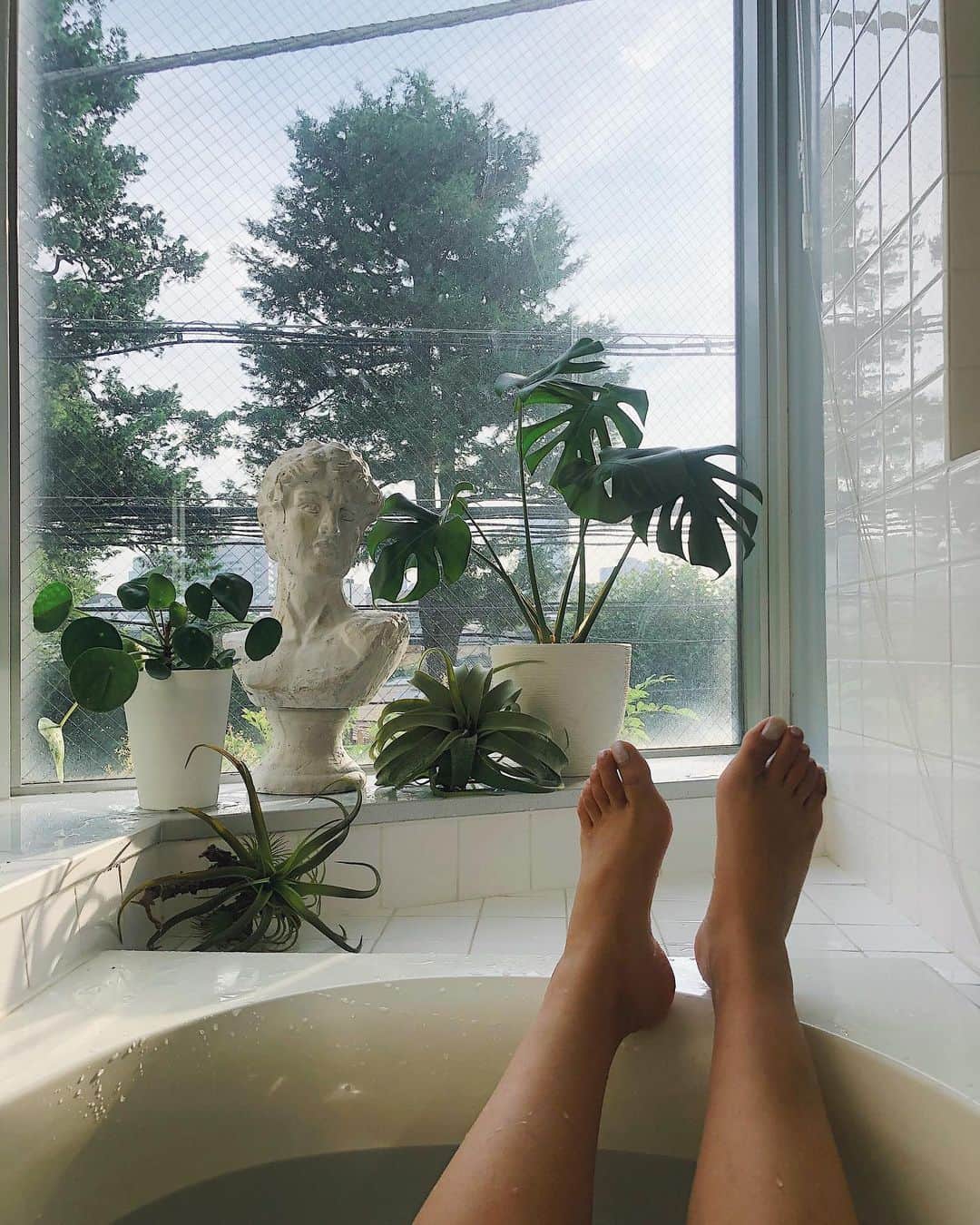 齊藤澪菜さんのインスタグラム写真 齊藤澪菜instagram 彫りが深いイケメンを買ったら お風呂がトレビの泉になったわ笑 ㅤ ㅤ バスルーム インテリア インテリアコーディネート 彫刻 観葉植物のある暮らし お風呂掃除 お風呂 洗面所 洗面所収納 北欧