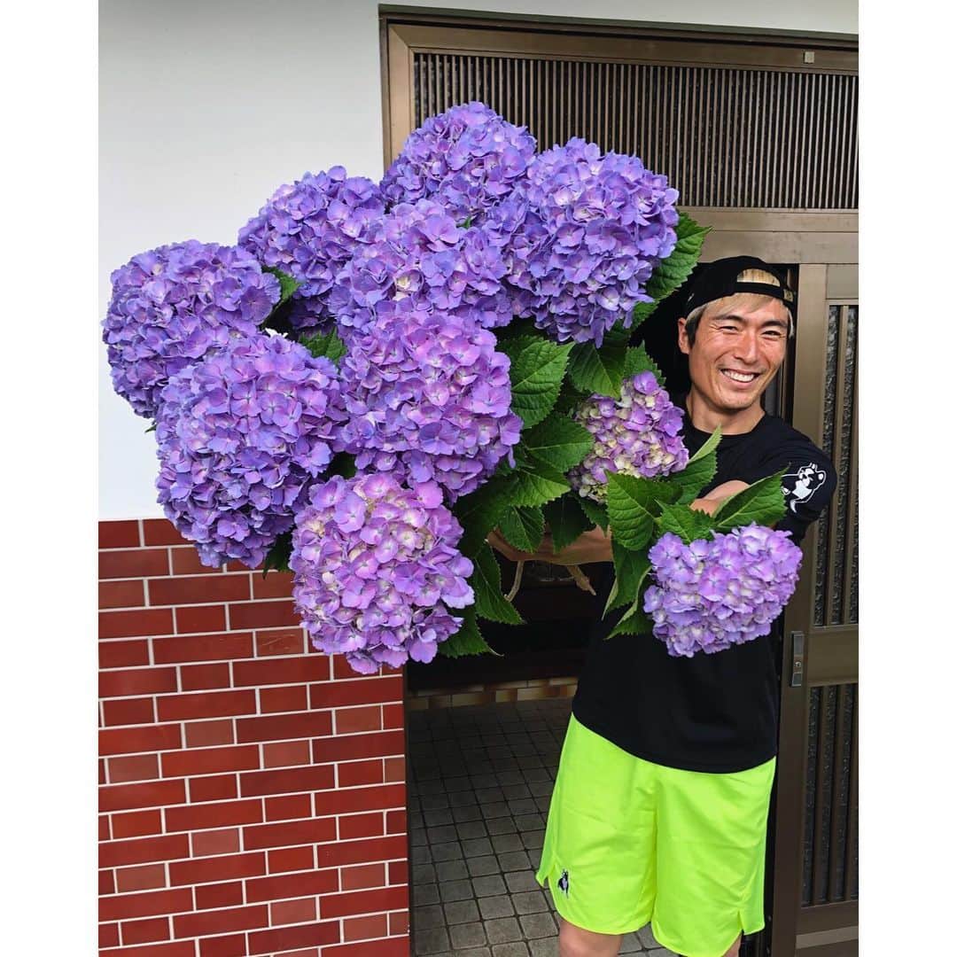 北野貴之さんのインスタグラム写真 - (北野貴之Instagram)「早朝散歩にて、お庭に咲く、満開の花。 朝一に紫陽花を生けました！ 本日も、素晴らしい一日を！  #紫陽花#東京花壇」6月16日 7時05分 - takashi_kitano