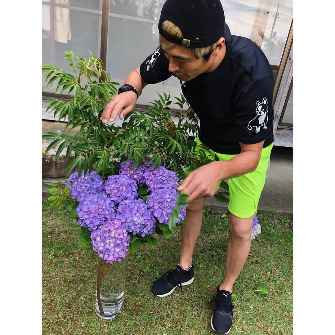 北野貴之さんのインスタグラム写真 - (北野貴之Instagram)「早朝散歩にて、お庭に咲く、満開の花。 朝一に紫陽花を生けました！ 本日も、素晴らしい一日を！  #紫陽花#東京花壇」6月16日 7時05分 - takashi_kitano