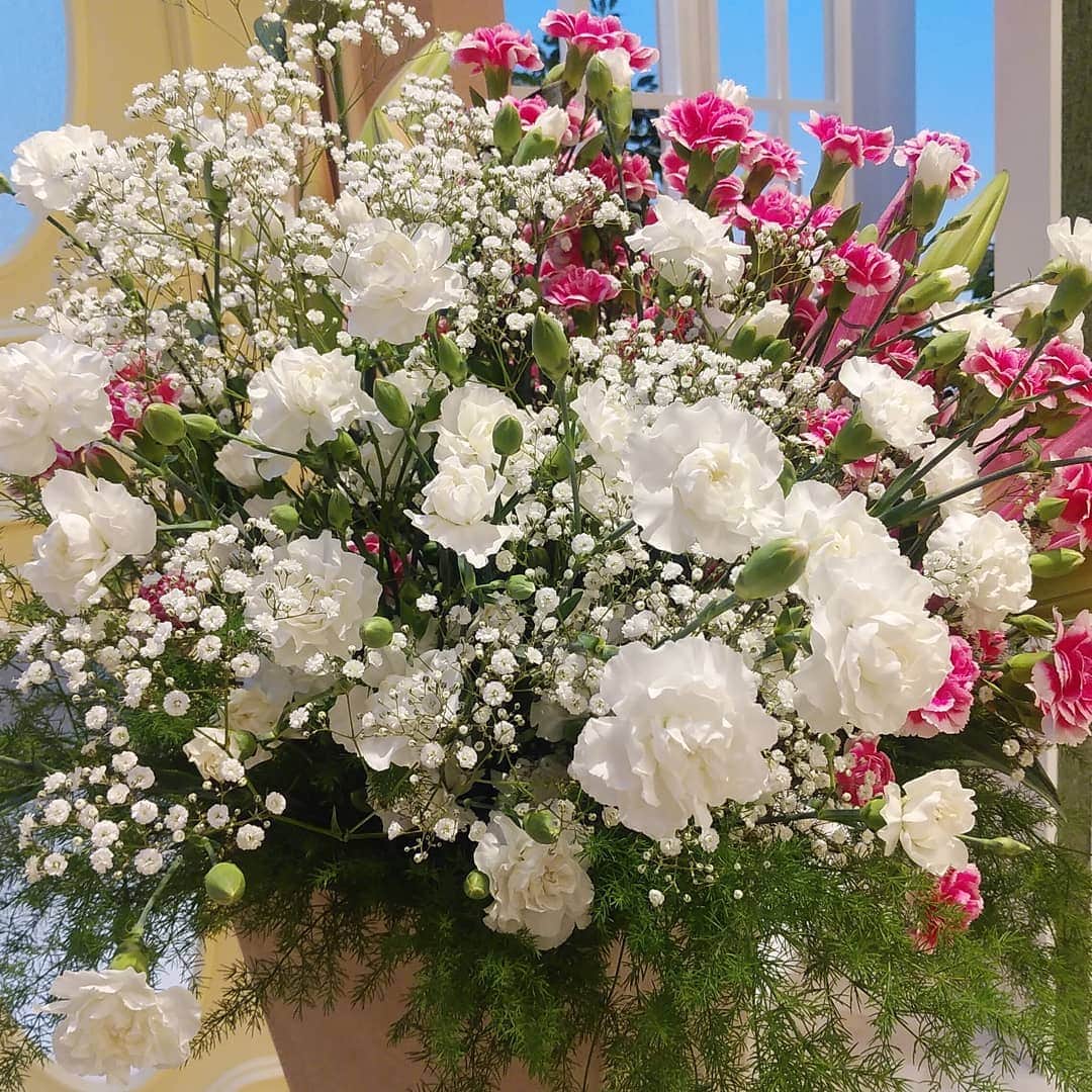 北海道テレビ「イチオシ！モーニング」さんのインスタグラム写真 - (北海道テレビ「イチオシ！モーニング」Instagram)「きょうのイチモニ！花曜日は「スプレーカーネーション」！ ＪＡ新はこだての農家の皆さんが精魂こめて育てた、美しいお花です。  出演者、スタッフ一同、毎週キレイな花が届くことを本当に楽しみにしています！ ありがとうございました！  #イチモニ！ #花曜日 #ＪＡ #よい花プロジェクト」6月16日 8時21分 - htb_ichimoni