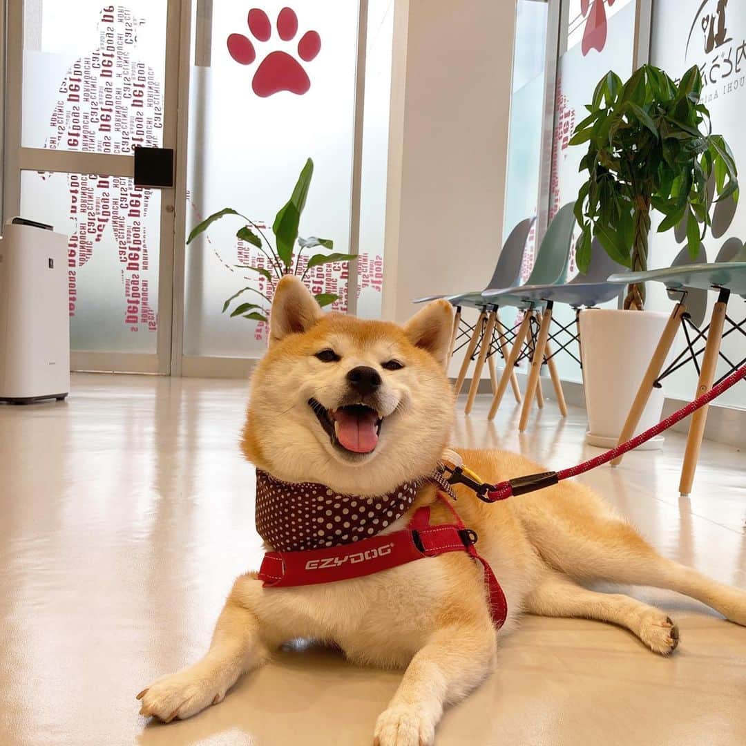 てんパパのグルメインスタ