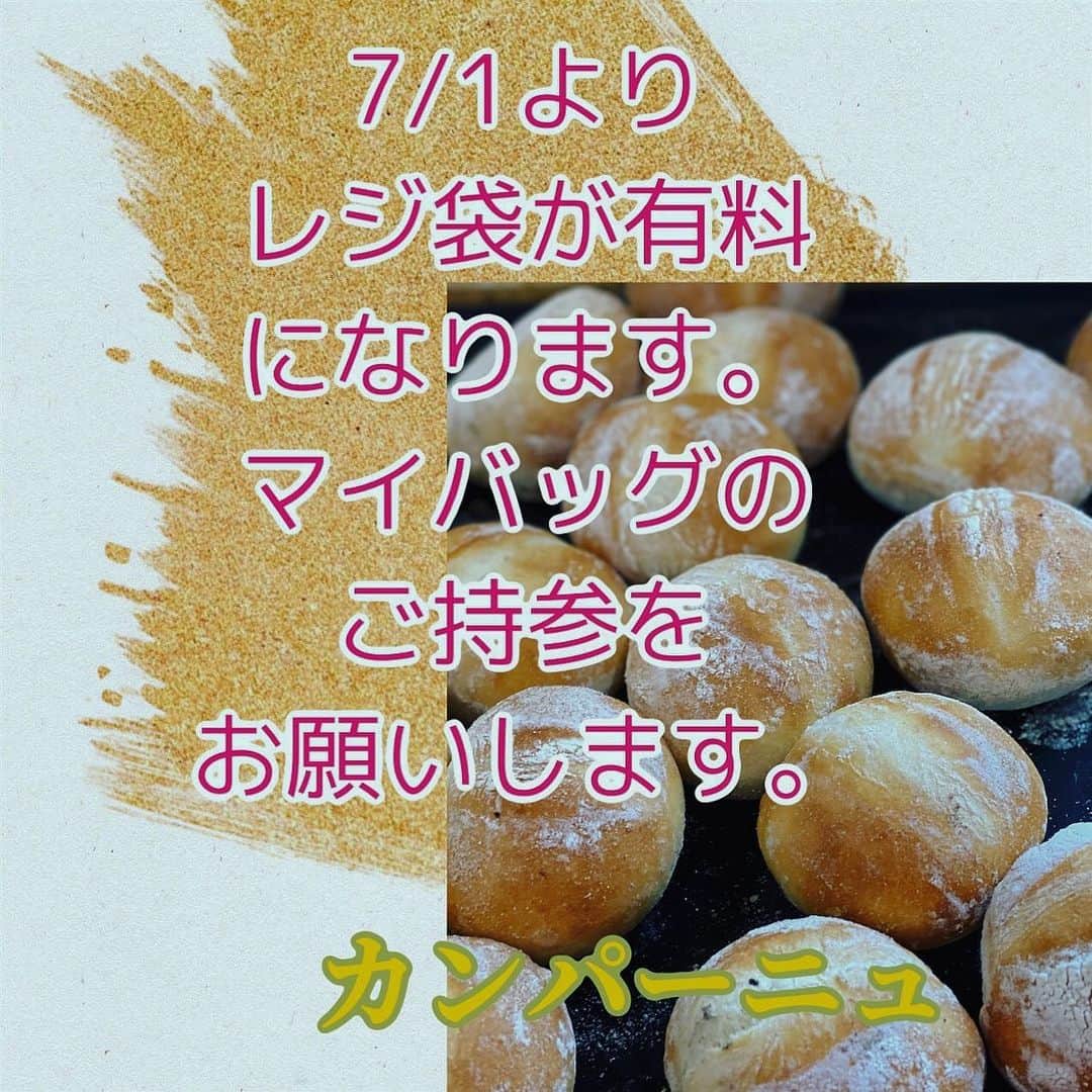 魔女菅原さんのインスタグラム写真 - (魔女菅原Instagram)「【レジ袋有料化】 7月1日よりレジ袋有料化に なります。 マイバックをご持参いただけますよう お願いいたします。  #自家製天然酵母のパン屋さんカンパーニュ #魔女菅原」6月16日 8時43分 - hatsuyosugawara
