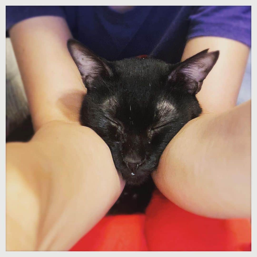 のインスタグラム：「クロちゃんそろそろ動くよー。」