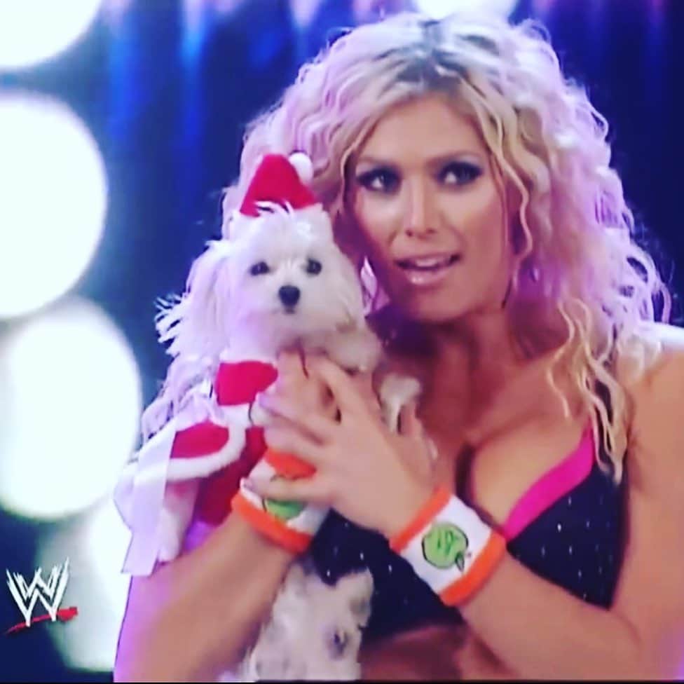 トリー・ウィルソンのインスタグラム：「. Today I said goodbye to my angel Chloe & words can never describe how much my heart hurts. . 17 YEARS she was my ride or die. . She has literally rode through LIFE with me. From the @wwe...traveling the world...living ALL OVER the damn place...she has no doubt seen in ALL. (If she writes a book in heaven lookout) . She seriously pulled me thru some of my darkest days & rode with me thru alllll the fun. She even made it very clear my husband was the Daddy she wanted when she clung to him more than anyone I’ve ever met.❤️ . I swear at times I thought she was human with the disapproving looks she gave me when I wasn’t doing the right thing...but she was a rare constant that made everywhere I went feel like home. . Rest assured, I know she’s running like a puppy & showing everybody who the true Queen Diva is in heaven. 🙏🏽 . Squeeze your creatures & humans cuz we are all on borrowed time. . Can’t wait to see you again QUEEN!」