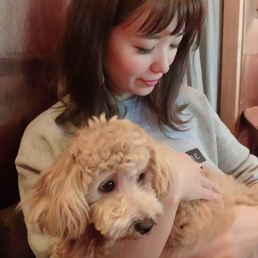 長江愛美さんのインスタグラム写真 - (長江愛美Instagram)「先日。 お友達のお犬さまと戯れてめちゃくちゃ癒された昼下がり🐶💕 あぁ、わんこって最高🐶🎀 #チワプー#マルプー でした笑」6月16日 9時28分 - manamin.512
