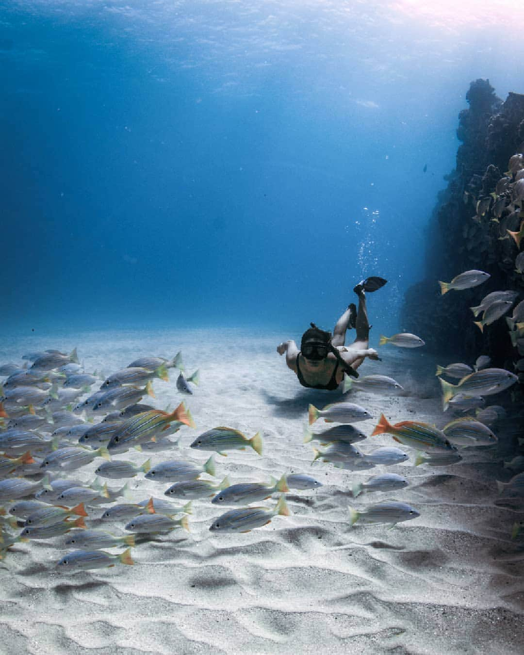 And Youさんのインスタグラム写真 - (And YouInstagram)「The ocean is our playground 🧜‍♀️. ​. ​. ​. ​. ​. ​. ​#underwater #freediving #freedivephotography #divetosurvive #saltwaternomads #exploretocreate #gameoftones」6月16日 9時38分 - dolphinsandyou