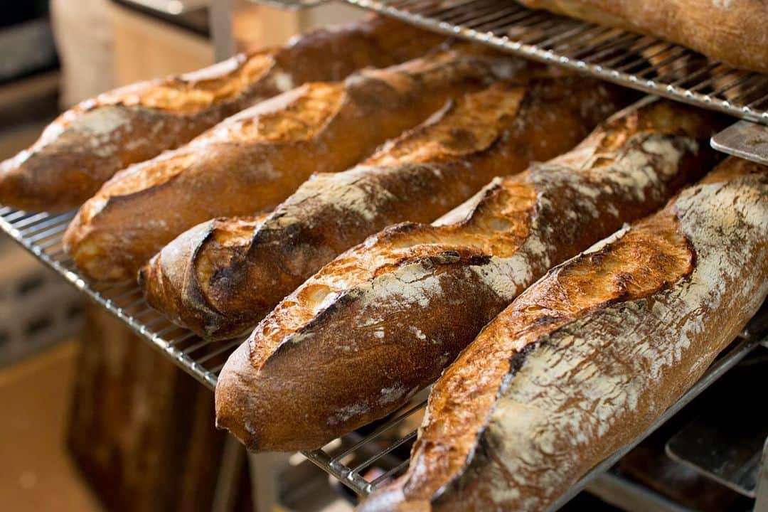 笹塚駅のパン屋さん オパンのグルメインスタ