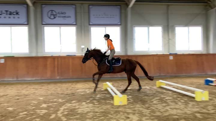 ガユンのインスタグラム：「🐎 #nottoday」