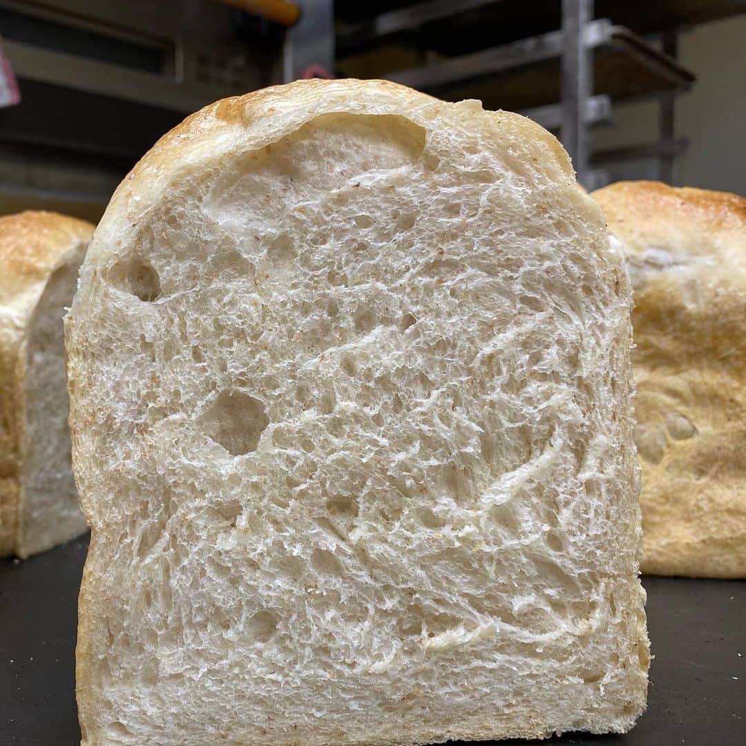 魔女菅原のグルメインスタ