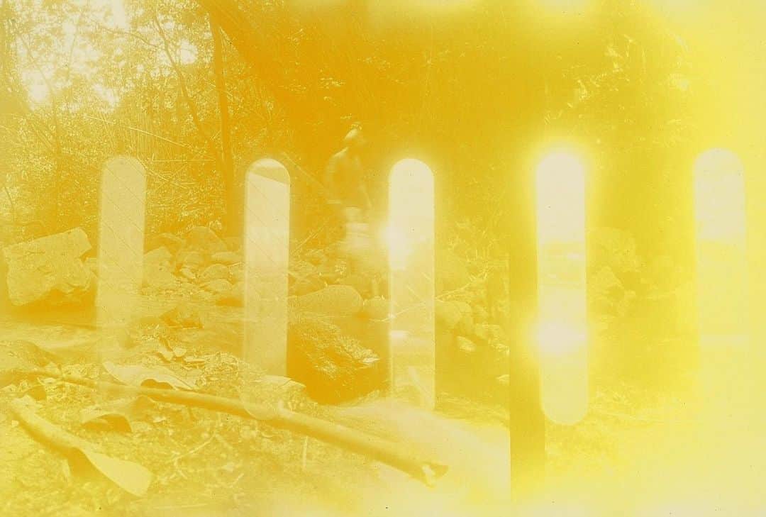 のインスタグラム：「Archive」