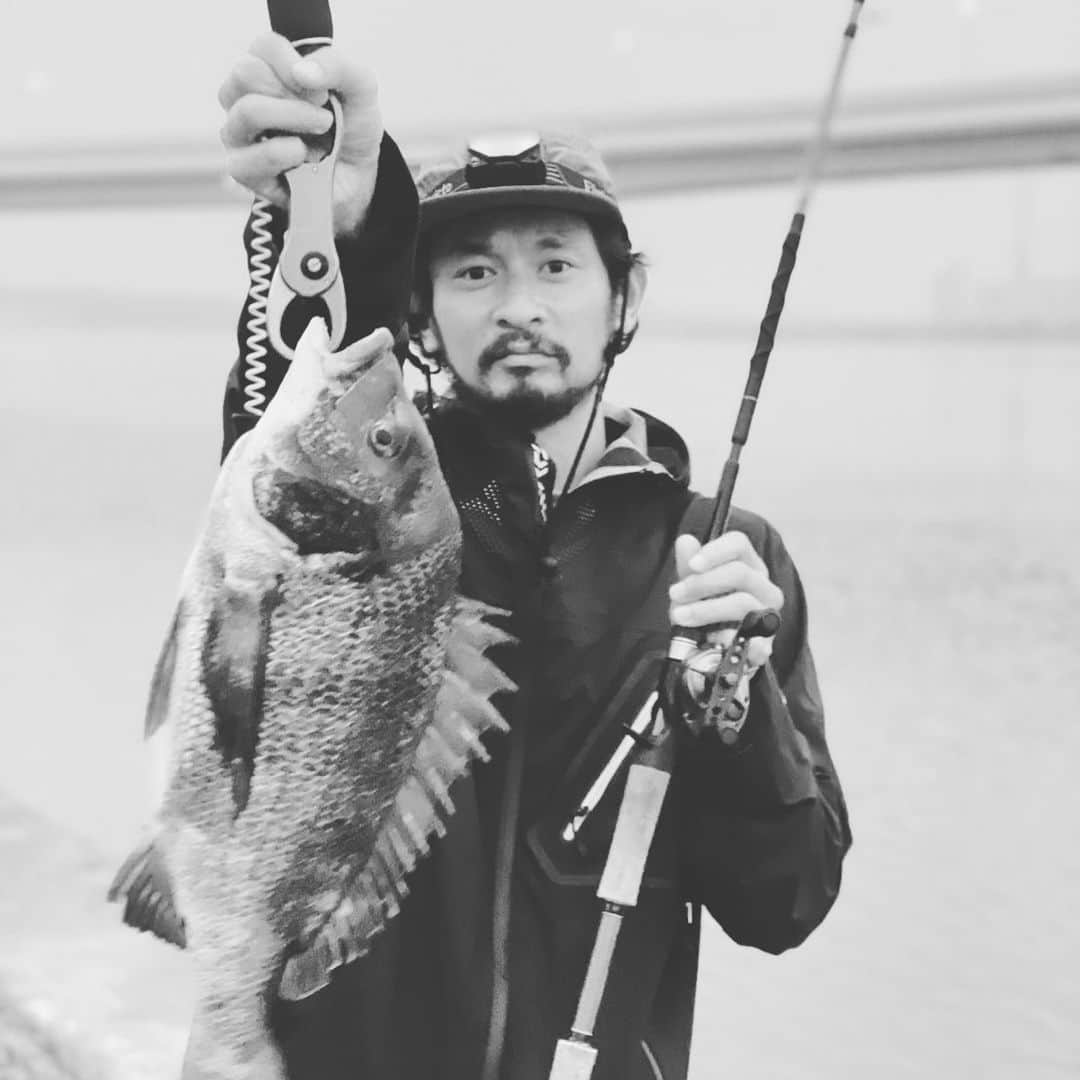 春日潤也さんのインスタグラム写真 - (春日潤也Instagram)「とったどー🐟  #fishing  #黒鯛 #チヌ #クロ」6月16日 10時41分 - junya_kasuga