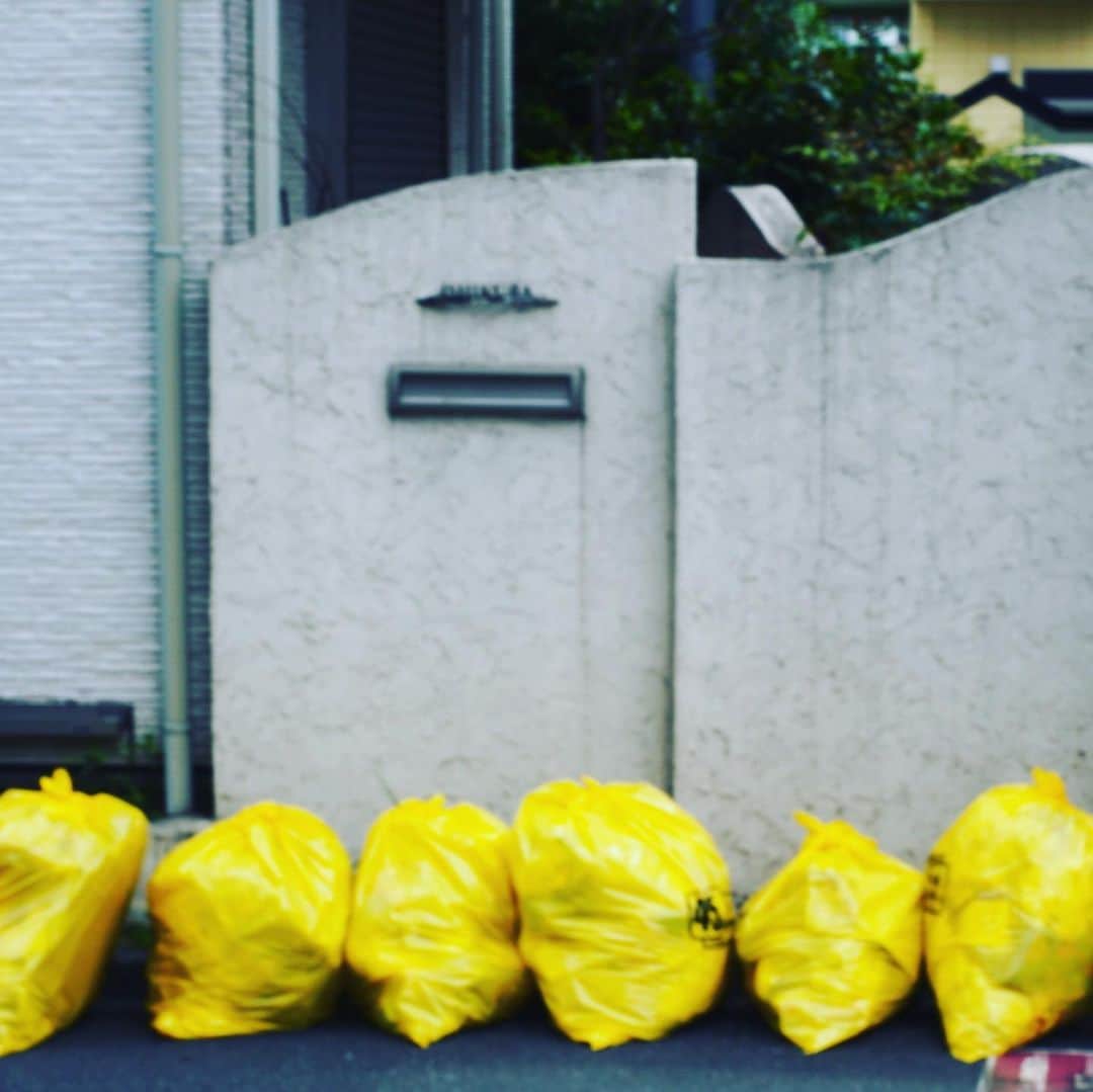 奇妙礼太郎さんのインスタグラム写真 - (奇妙礼太郎Instagram)「#sonya6100  #rikenon50mmf2  #yellow」6月16日 11時02分 - reitaro_strange