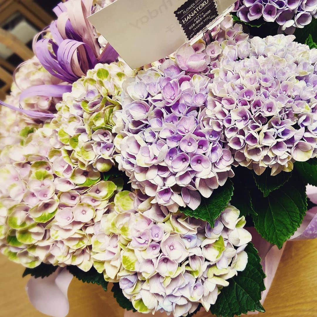 松本英子さんのインスタグラム写真 - (松本英子Instagram)「毎年、両親が贈ってくれる紫陽花💓  今年はとっても可愛い配色...😊 三日三晩陣痛で苦しんで、大雨の午後２時 私を産んでくれた母にただただ感謝です。  お誕生日メッセージも沢山たくさん本当にありがとうございます✨✨✨✨✨✨🙏 日々応援してくださる皆さん、支えてくれている家族や友人、私はとても人に恵まれているなといつも思います。 この感謝の想いをちゃんと音楽や色んな形にして恩返ししていけたらと思っています✨  2020.6.16 松本英子」6月16日 10時57分 - matsumoto__eiko