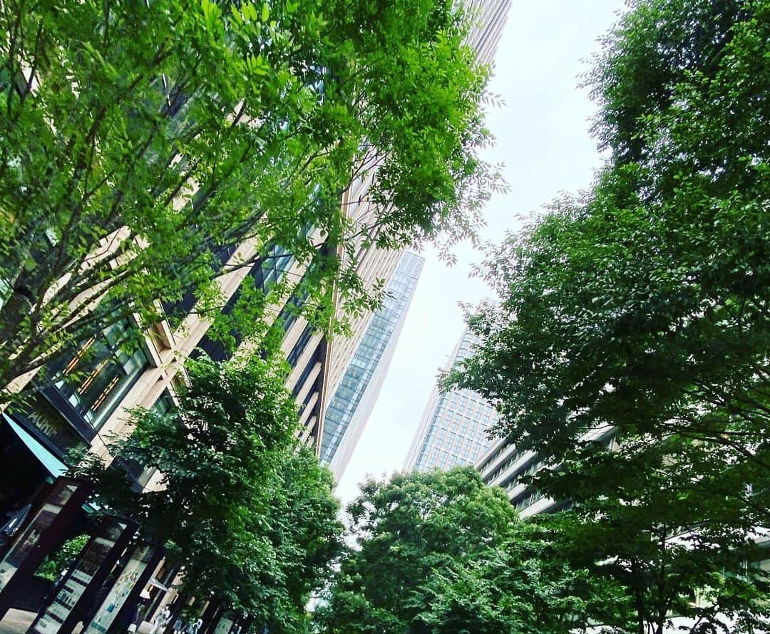 Hiroe Hiranoさんのインスタグラム写真 - (Hiroe HiranoInstagram)「丸の内へ。﻿ エネルギッシュな緑の中を﻿ 歩くのが爽快🌳🌳🌳 ﻿ ﻿ 時間を作って、私は歩くのですが、﻿ 2〜3駅とか余裕で歩くときも👣 ﻿ 歩く時にいろんな発見がある☺️﻿ ﻿ 速くて効率良いものじゃなくて﻿ 時に立ち止まって、休んで。﻿ ﻿ 無理のないペースも大切だなと。﻿ ﻿ 駆け抜ける時も必要だし、﻿ 使い分けてバランスですな☺️ ﻿ ﻿ 運動してエネルギーを作ったり、﻿ リリースさせたり。﻿ 自分の燃費をコントロールしよう。﻿ ﻿ 急いでる時こそ、﻿ ゆっくりした時間を作る心がけ。﻿ #爽やかなストリート﻿ #丸の内仲通り ﻿ #tokyo #japan #🇯🇵」6月16日 10時57分 - hiroe_hirano