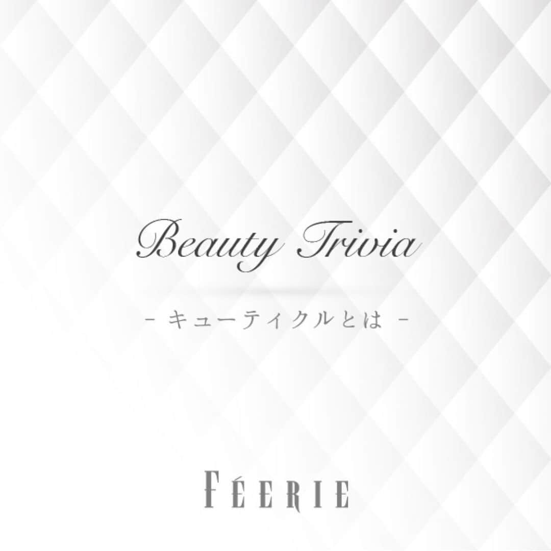 FEERIE (フェリー)のインスタグラム