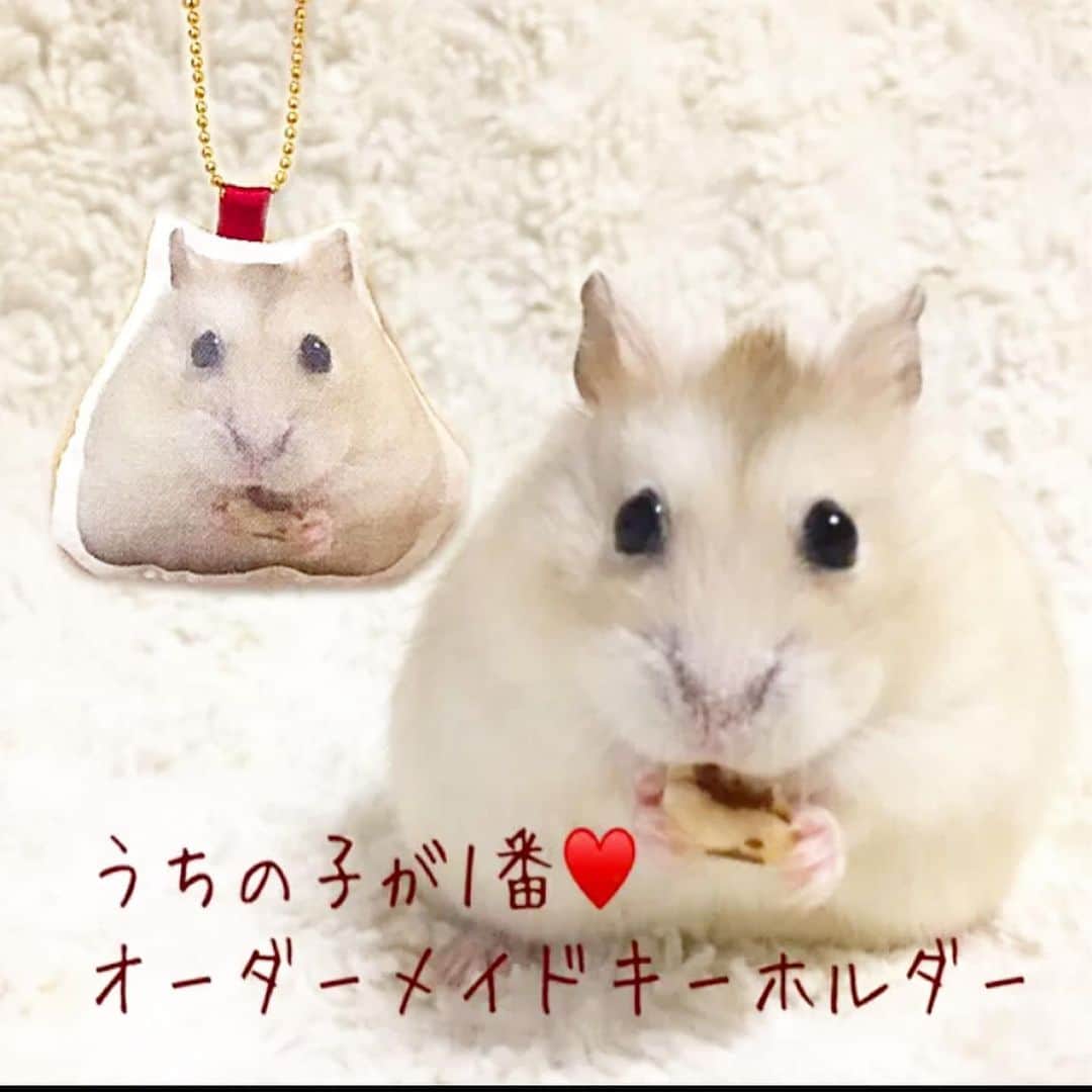 hamster_mocoのインスタグラム
