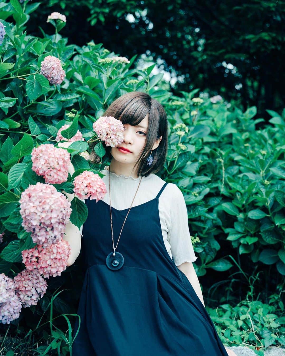 haraoのインスタグラム：「花言葉 - - - #紫陽花 #アジサイ #GPW_members_only  #被写体募集」