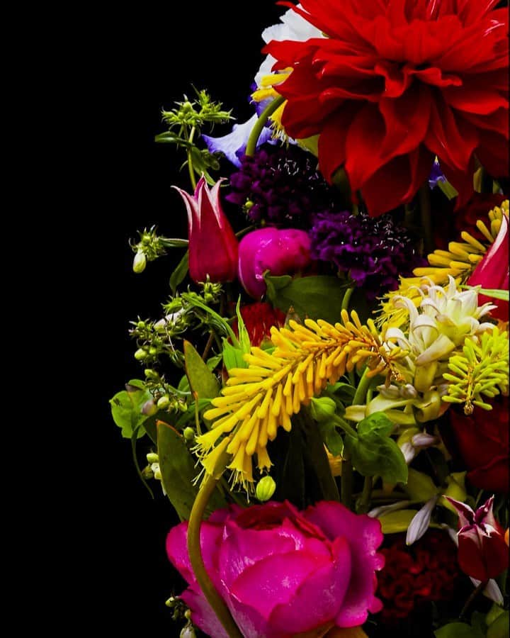 椎木俊介のインスタグラム：「Flowers  #azumamakoto #makotoazuma #shiinokishunsuke #amkk #amkkproject #flowers #flowerart #東信 #東信花樹研究所 #花  #timelapse」