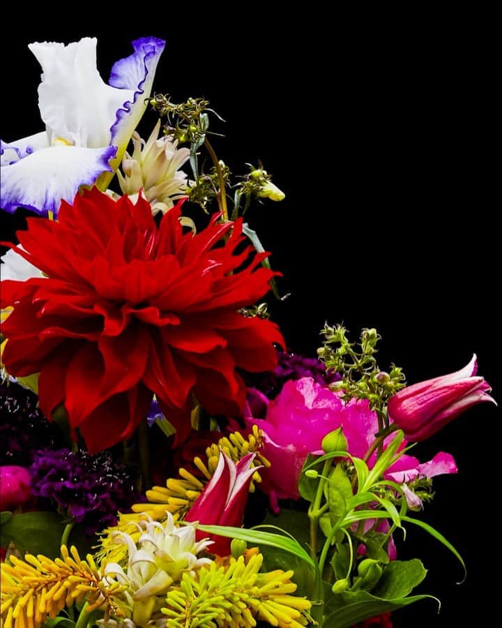 椎木俊介のインスタグラム：「Flowers  #azumamakoto #makotoazuma #shiinokishunsuke #amkk #amkkproject #flowers #flowerart #東信 #東信花樹研究所 #花  #timelapse」