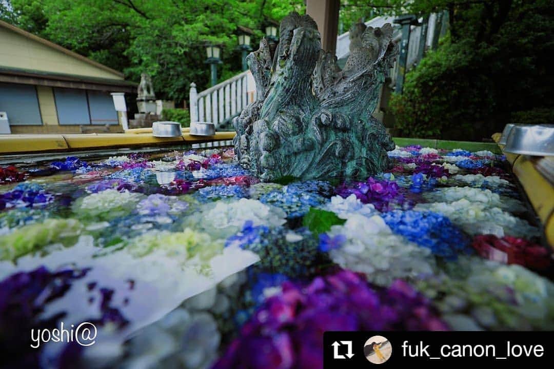 カメラのキタムラのインスタグラム