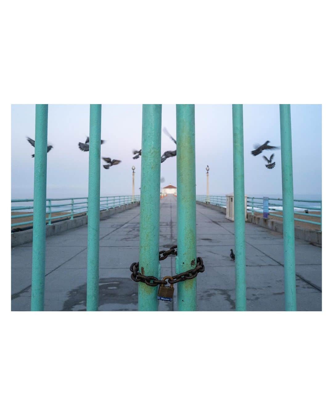 Pete Halvorsenさんのインスタグラム写真 - (Pete HalvorsenInstagram)「Went down to the Pier at sunrise this morning, I was told it was going to be open...it wasn't. The birds were still trapped behind the gates, hopefully tomorrow morning the Pier will be free.  #PierPressure」6月16日 12時48分 - petehalvorsen