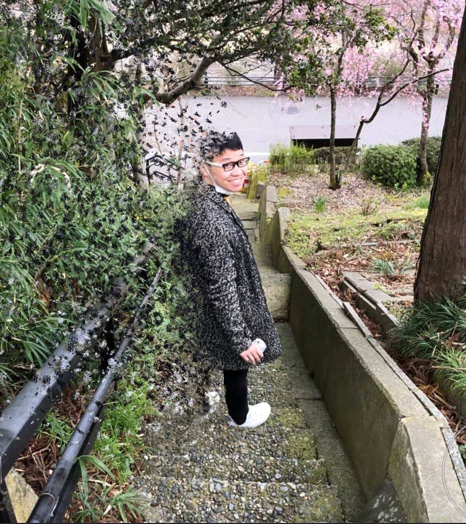 岡下雅典のインスタグラム：「写真加工のアプリでやったけどもっとオシャレな感じになると思ってた… なんかこの写真めっちゃせつないな…  最終話「さよなら岡ちゃん」やん‼️ 役目終わってみんなから自分の記憶だけ消して未来帰っちゃうやつやん💦💦 岡ちゃーーーーん😭😭 ありがとぉーーー😭😭 記憶消されても桜の咲く季節にまたふっと思い出すからなーー😭😭 岡ちゃーーーーん😭😭」
