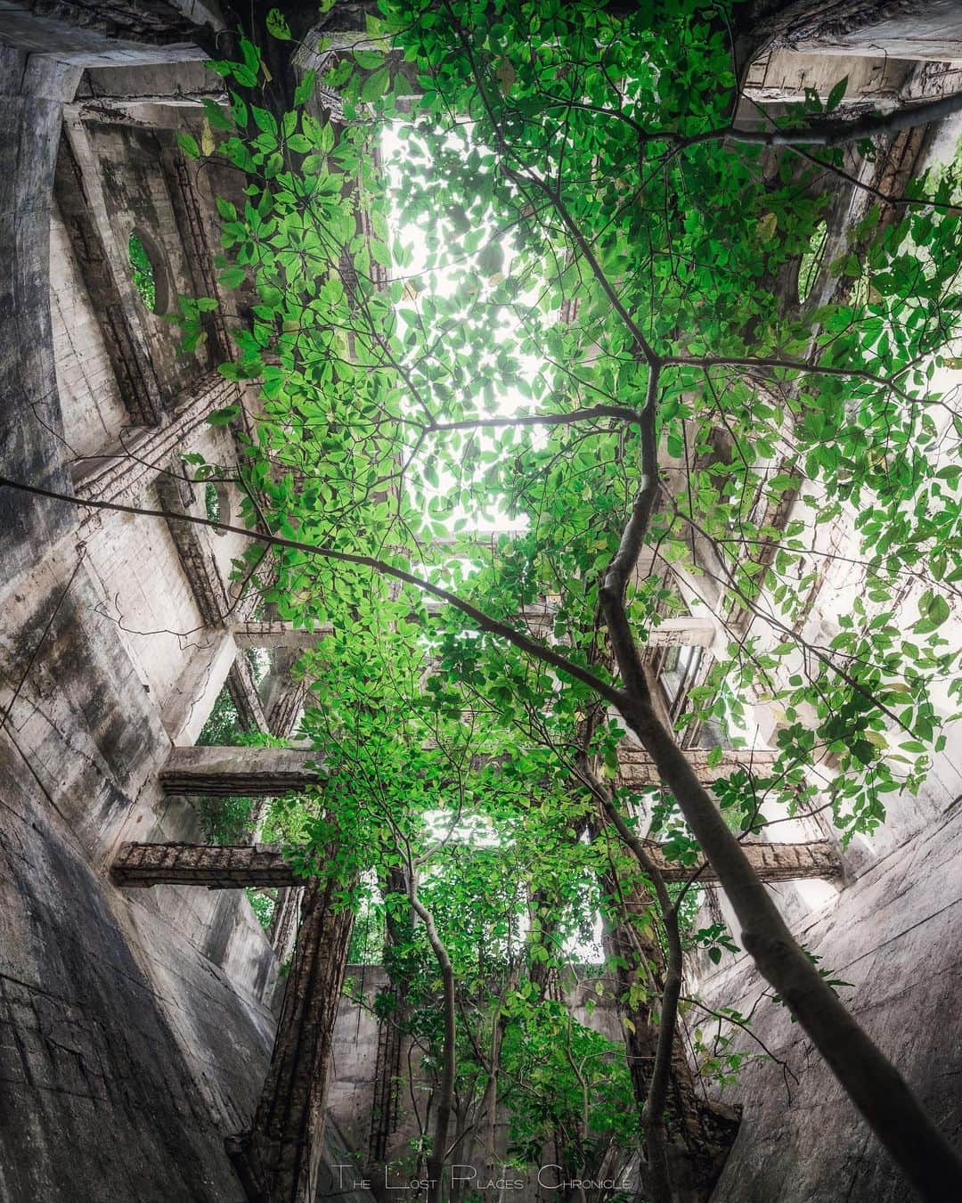 啝 （わ）のインスタグラム：「continuously 𓆲 𓆲 𓆲 #abandonedafterdark #urbex_supreme #desertedplaces #abandon_seekers_ #urbex_regards #welcometwoneverland #kings_abandoned #abandonedcentral #the_urbex_institute #renegade_abandoned #rsa_preciousjunk #glitz_n_grime #gotrespassing #savethedecay #bandorebelz #abandoned_addiction #abandoned #urbex #global_urbex #urbex_utopia #abandonig #allabandoned #urbex_kings #sombrexplore #grime_lords #urbxtreme #all_is_abandoned #discarded_butnot_forgotten #廃墟 #made_in_decay」