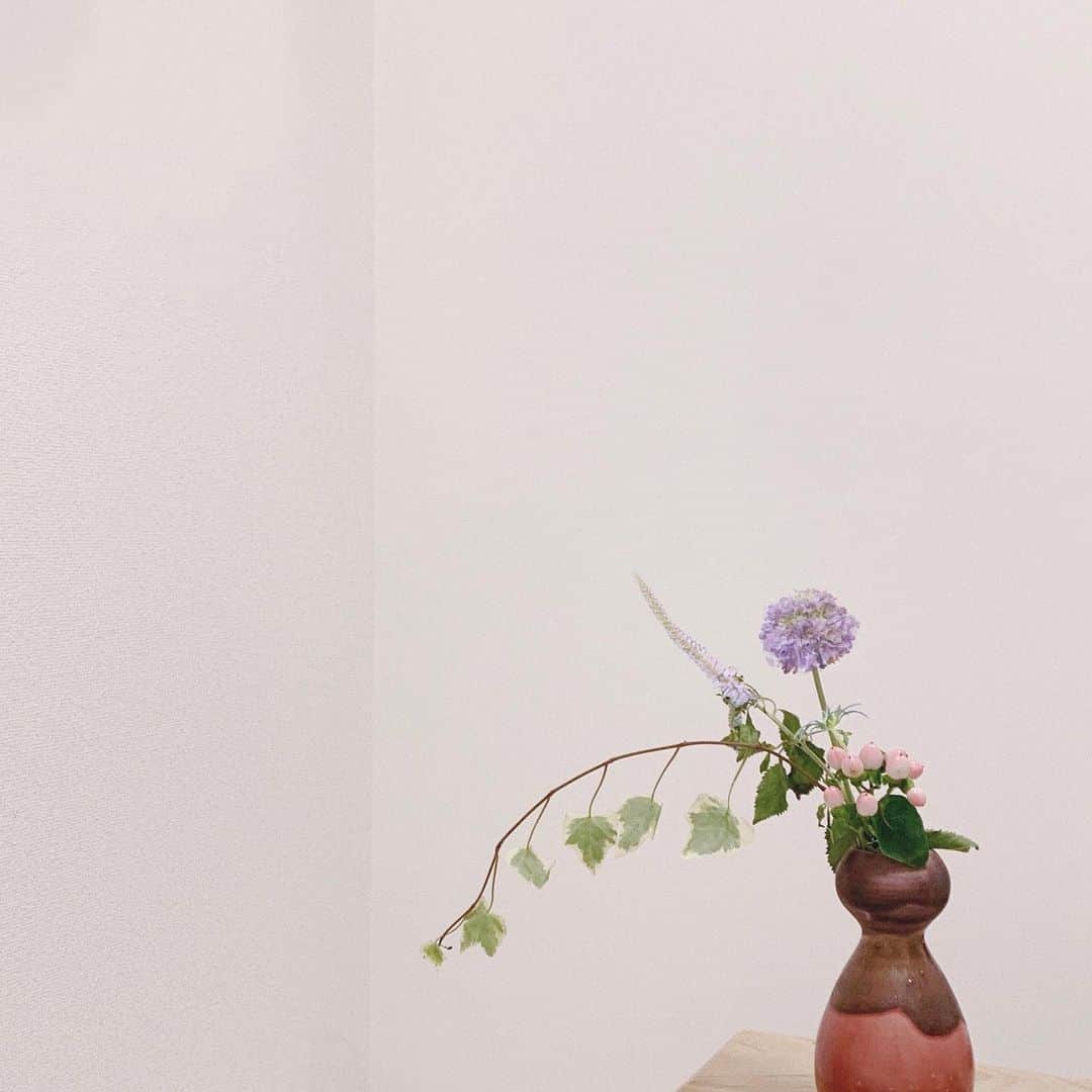 神尾美沙のインスタグラム：「﻿ ﻿ お花がとどく定期便﻿ medeluからお花がとどいた🌷﻿ ﻿ 明治から100年以上続く会社さんだそうで﻿ 毎週or隔週でお花がとどくサービス♡﻿ 自分じゃ選ばないようなお花との出会いがあって﻿ 毎回わくわくしそうだよね🥺﻿ ﻿ ピンクの #ヒペリカム 、ころんとして可愛い…﻿ ﻿ ﻿ 先着10名で初回80％OFFクーポンコード﻿ 「15KN」よかったら使ってみてください🌷﻿ ﻿ @medelu_official ﻿ #medelu #pr #flower #花のある暮らし #お花 #お花のある暮らし #花瓶 #花好き #定期便 #ナチュラルインテリア #お花のある生活 #お花の定期便 #花の写真」