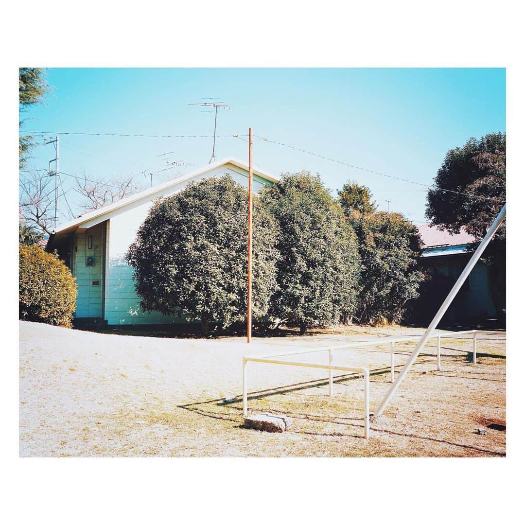 高橋ヨーコさんのインスタグラム写真 - (高橋ヨーコInstagram)「T O K Y O, S U M M E R🌳﻿ トウキョウアツイ…﻿ ﻿ #tokyoarchive」6月16日 23時08分 - yoko1970