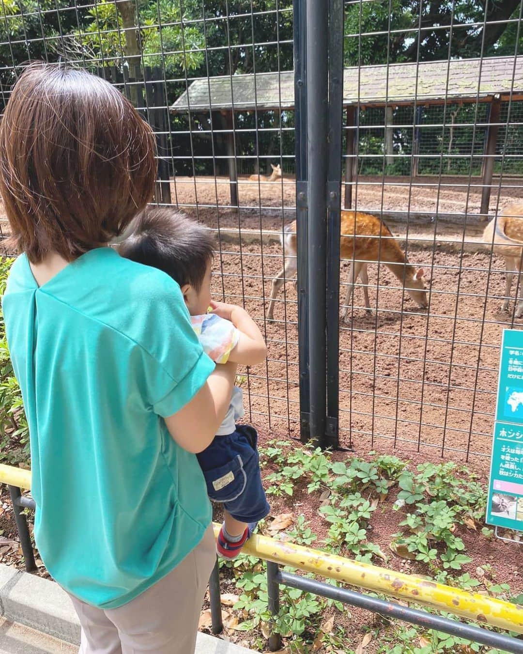 本多真弓のインスタグラム