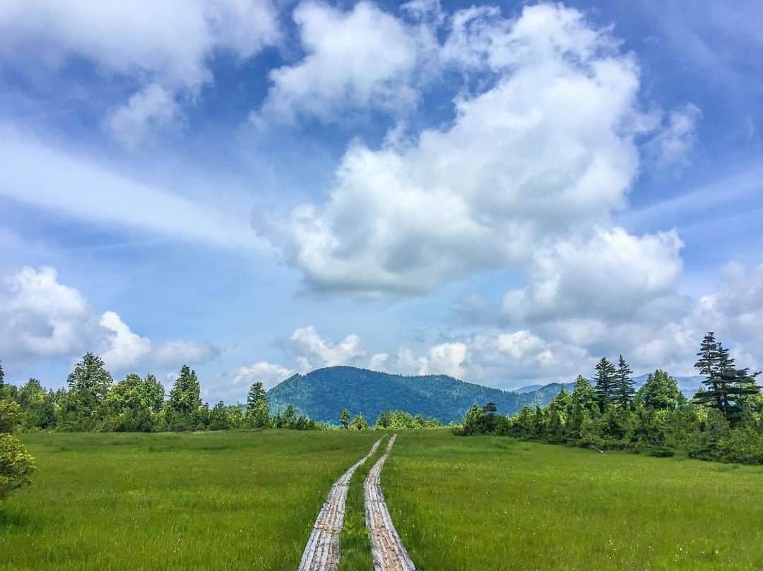 日本の国立公園さんのインスタグラム写真 - (日本の国立公園Instagram)「Photo by @photo_booooy⠀ https://www.instagram.com/p/ByMEflSAK7a/⠀ .⠀ #尾瀬国立公園⠀ #OzeNationalPark⠀ .⠀ On our Instagram, we will also share wonderful photos of National Parks of Japan posted on Instagram with the tag #nationalparksjp. We look forward to your participation!⠀ .⠀ #NationalPark #nationalparks #nature #findyourpark #instafollow #japan #landscape #landscape_lovers #ourplanetdaily #landscapephotography #hiking #outdoors #traveling #travel #explore #visitjapanjp #日本 #國家公園 #일본 #국립공원 #国立公園」6月16日 15時00分 - nationalpark_japan