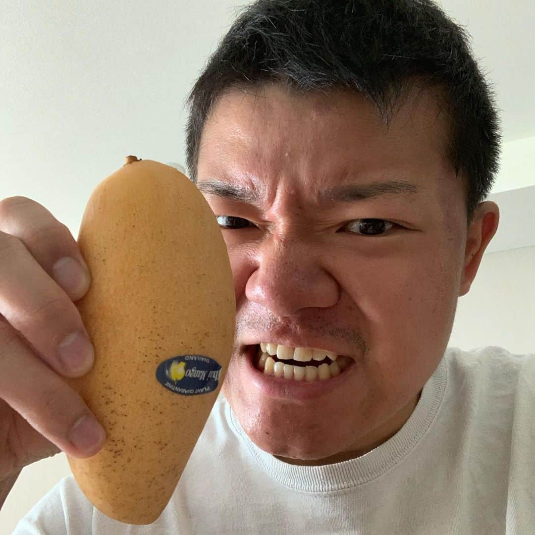 亀田大毅のインスタグラム：「最強マンゴー タイの中でも最高級品種 #ナムドクマイ種  #福岡ソノリク  仕上がり倒し #甘すぎ御免 #顔がキモいのはご勘弁  #マンゴー  #3150」