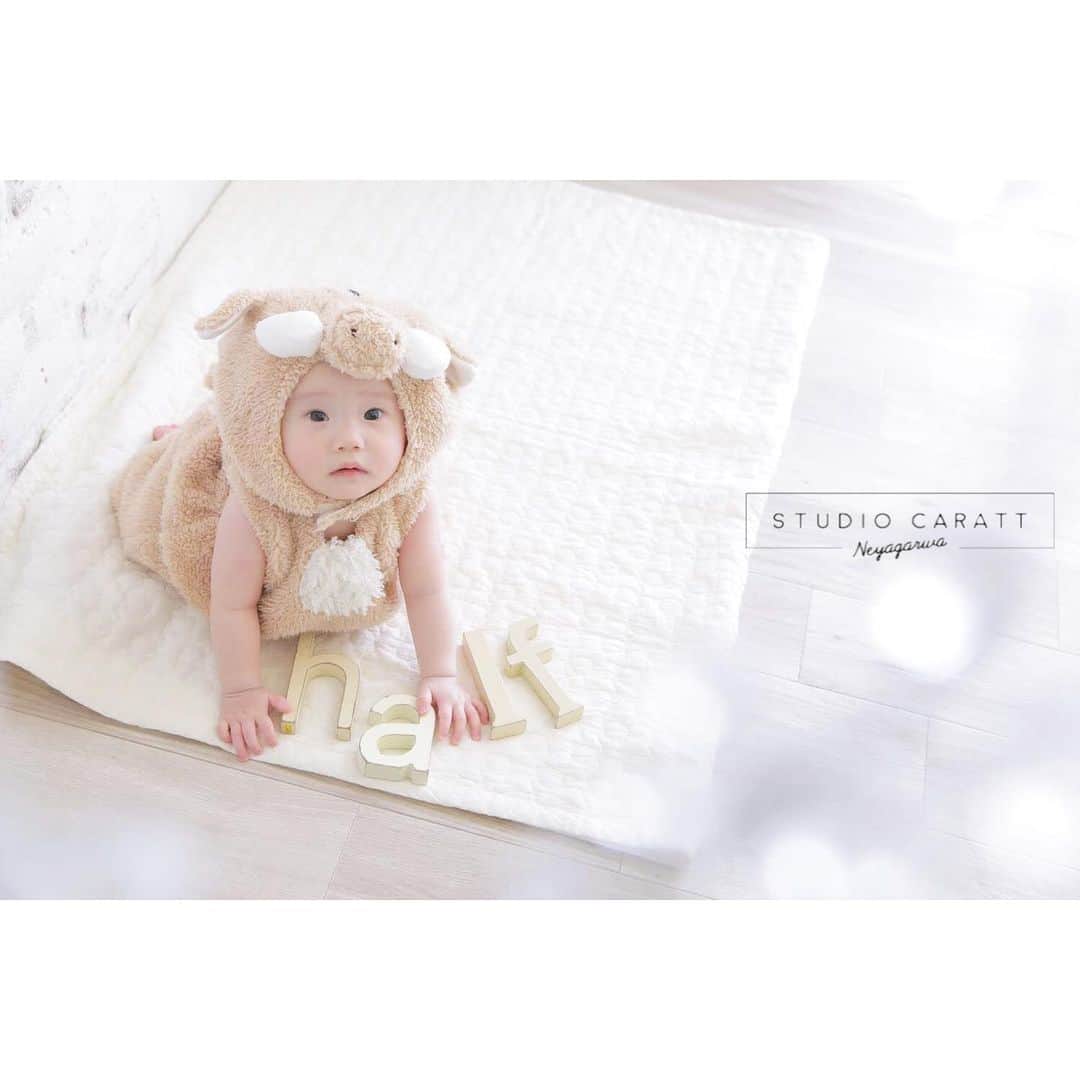 スタジオキャラット 寝屋川店のグルメインスタ