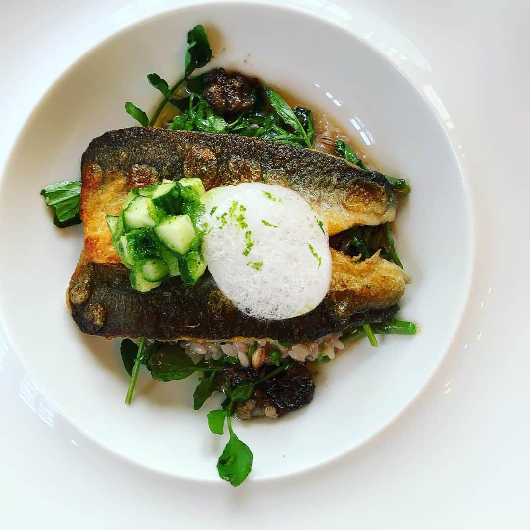 志摩有子のグルメインスタ