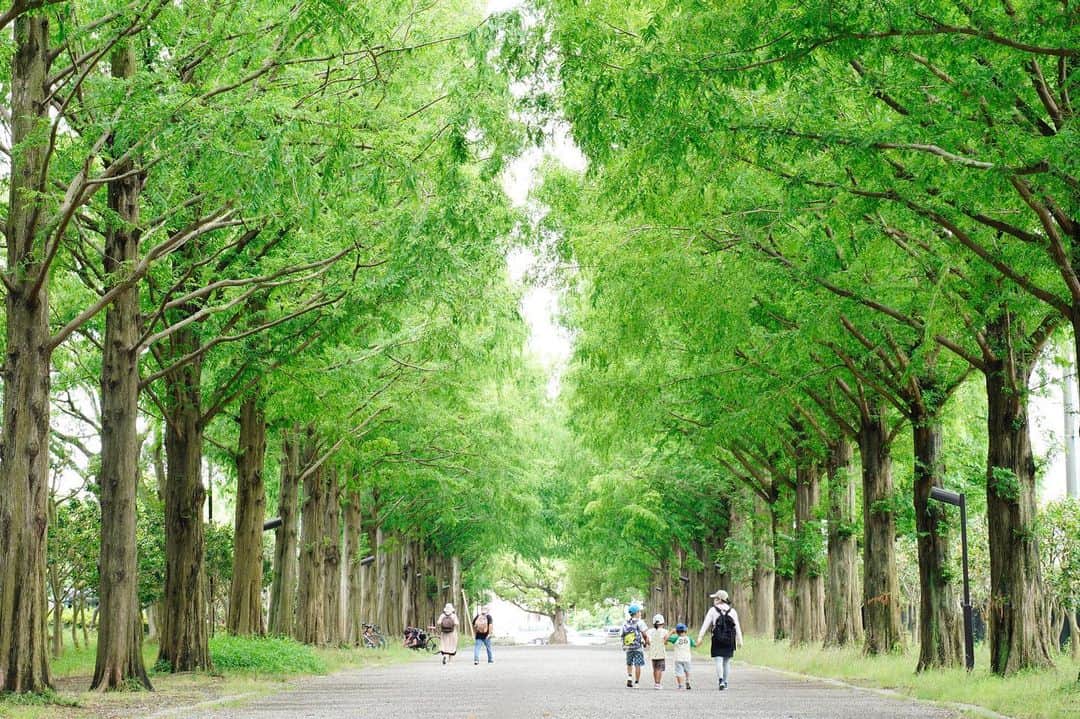 平塚市のグルメインスタ