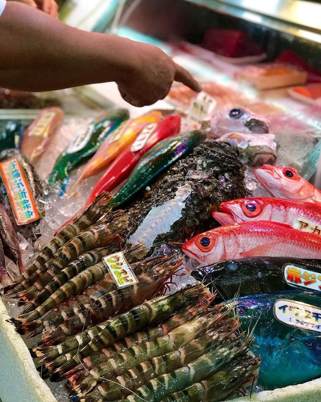 Be.okinawaさんのインスタグラム写真 - (Be.okinawaInstagram)「Look at all of the colors! Okinawan markets are filled with vibrant subtropical fish! 📷: @nik_bic_ 📍: Makishi Market, Naha  We look forward to welcoming you again near future when the time has come. #okinawaathome #staysafe  #firstmakishipublicmarket #naha #第一牧志公設市場 #那霸 #마키시공설시장 #나하 #那覇 #魚 #fish #market #beokinawa #visitokinawa」6月16日 16時02分 - visitokinawajapan