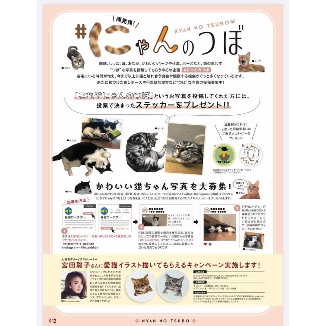 宮田聡子さんのインスタグラム写真 - (宮田聡子Instagram)「昨日から全国のローソン、HMVに置いてある、 月刊ローチケ/月刊HMV&BOOKS の癒し企画、「にゃんのつぼ」で読者様の猫ちゃんのイラストを書かせていただくことになりました‼︎ @le_gekkan (Twitter、Instagram共にこのアカウントです) をフォローして、 #にゃんのつぼ とタグ付けして愛猫ちゃんの写真を載せてくださった方の中から3名様に、絵を描いてプレゼントさせていただきます‼︎ 是非愛猫ちゃんをアップしてくださいね‼︎ 愛を込めて書かせていただきます( °͈ω°͈ ) ------------------------- ①【応募期間】 8月15日(土)まで グランプリ1名 準グランプリ2名 合計3名様 月刊ローチケ/月刊HMV&BOOKS編集部 @le_gekkan  ②【応募方法】 ・月刊ローチケ／月刊HMV&BOOKS編集部のアカウント Twitter/Instagram  @le_gekkan  をフォロー！ ・「これぞにゃんのつぼ！」というあなたにとっての最高の猫ちゃんのお写真を #にゃんのつぼ とつけて投稿してください♪  ③【当選発表】 当選者の方にはDMにてご連絡をさせて頂きます。」6月16日 16時15分 - miyatasatoko