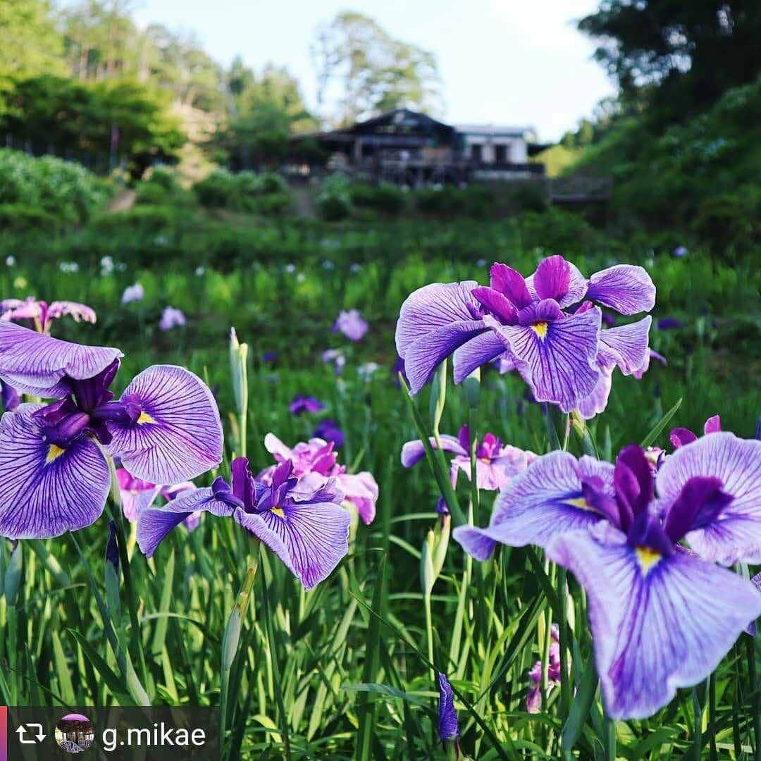 兵庫県のインスタグラム