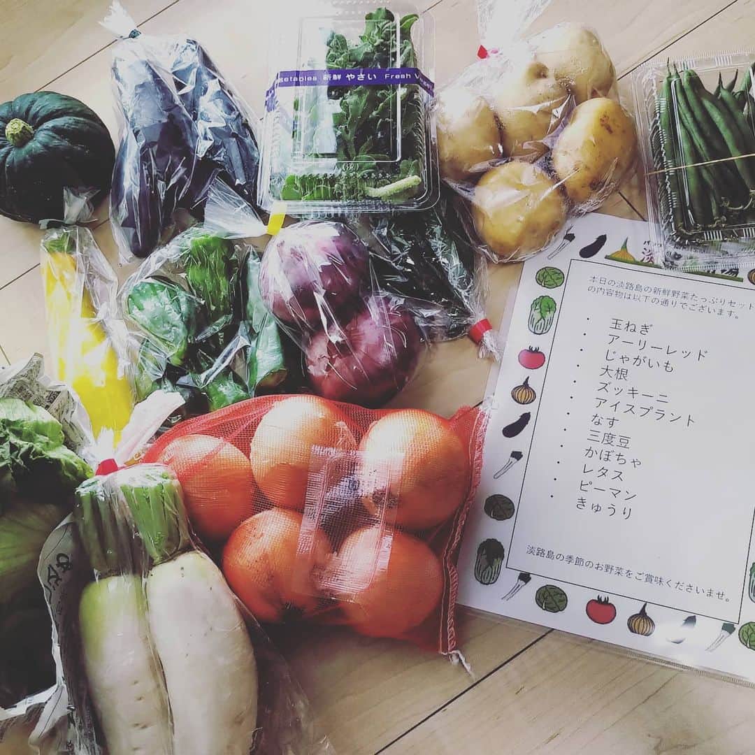 草野歩のインスタグラム：「淡路島市場の野菜たちが届きました🥗 2010年に閉校となった淡路市立野島小学校が「のじまスコーラ」として生まれ変わり、そこで作られた野菜です😊 淡路島の野菜を使った、料理を楽しみたいと思います。  淡路島市場↓ https://www.scuolaweb.jp/  のじまスコーラ https://www.nojima-scuola.com/」