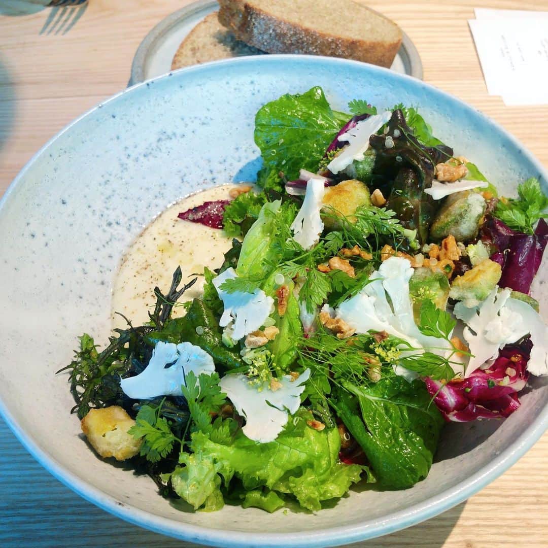 市井紗耶香さんのインスタグラム写真 - (市井紗耶香Instagram)「ここ最近食べたサラダでNo. 1ヒッツ。  菊芋のクリーム仕立てに アボカド🥑フリットぉぉ🤤  #organic #organicfood #veganfood」6月16日 17時11分 - sayakaichii