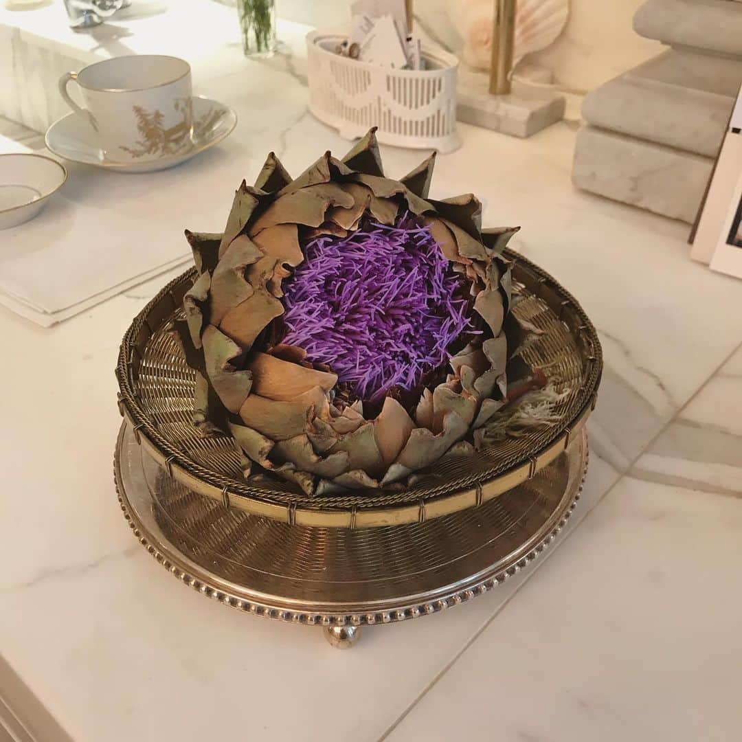 アレクシマビーユのインスタグラム：「Artichoke Bloom @alexismabille when a dry artichoke bloom by surprise #artichoke #purple #bloom #flower #vegetable #beautifull #surprise #naturemagic #yumi #floraison #artichaut #alexismabille」