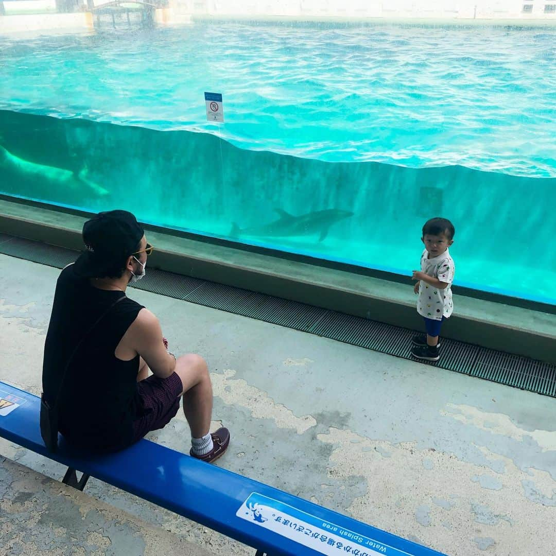 中村獅童さんのインスタグラム写真 - (中村獅童Instagram)「楽しいね #水族館大好き #陽喜 #獅童」6月16日 17時19分 - shido_nakamura