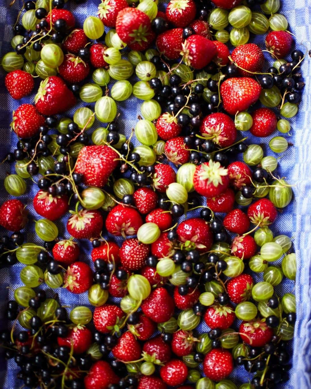 ジェイミー・オリヴァーさんのインスタグラム写真 - (ジェイミー・オリヴァーInstagram)「From gooseberries to strawberries, there are so many delicious berries coming into season around about now! What are you growing at home?? x」6月16日 18時10分 - jamieoliver