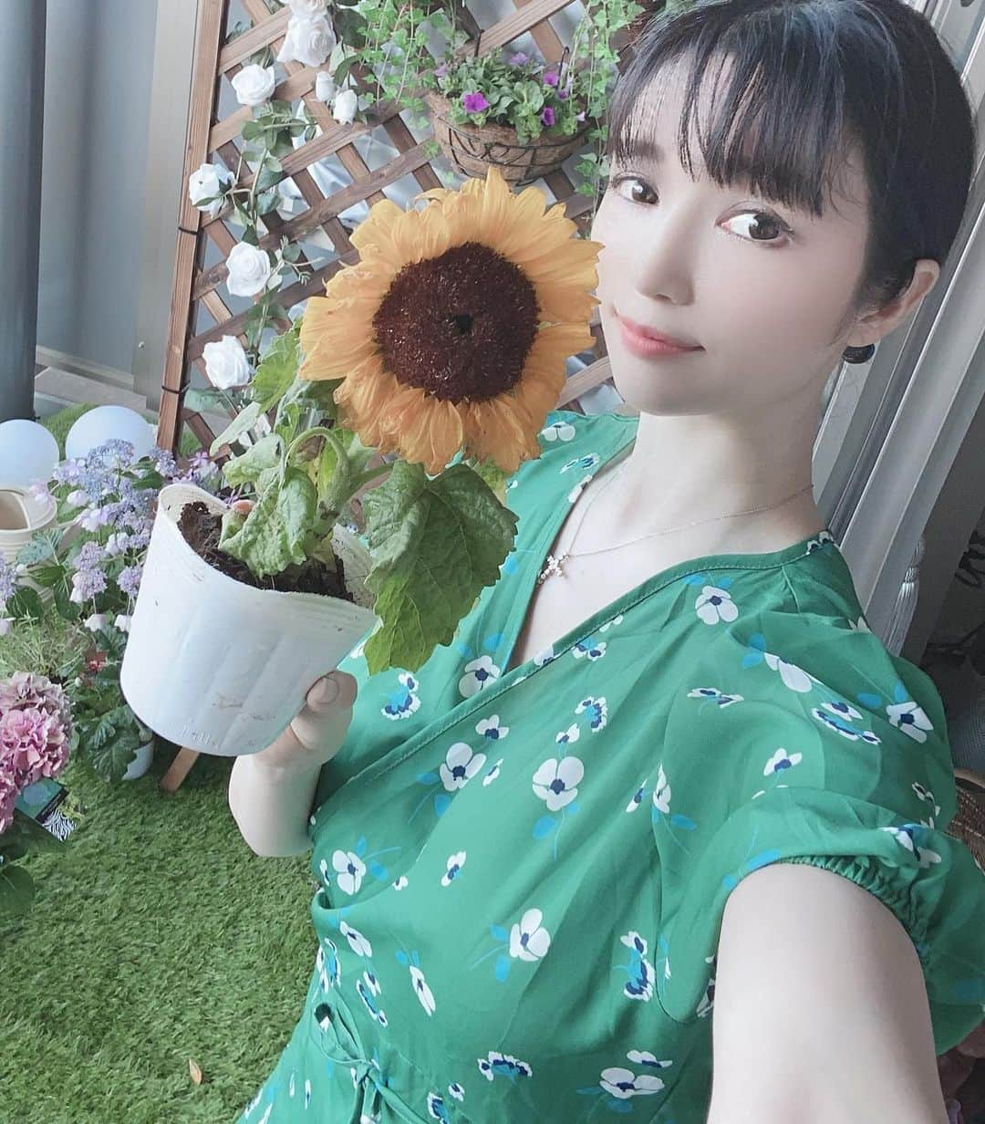 のインスタグラム：「またまた可愛い🌻いただいたよー💓 - 🌻って可愛いよね✨ 大好き💓💓 - 可愛い鉢を買おう✨✨ - ベランダが可愛いお花達 野菜だらけになってきました💓 - ガーデニング完成したら載せますー✨ - #gardening #flowers #vegetablegarden」