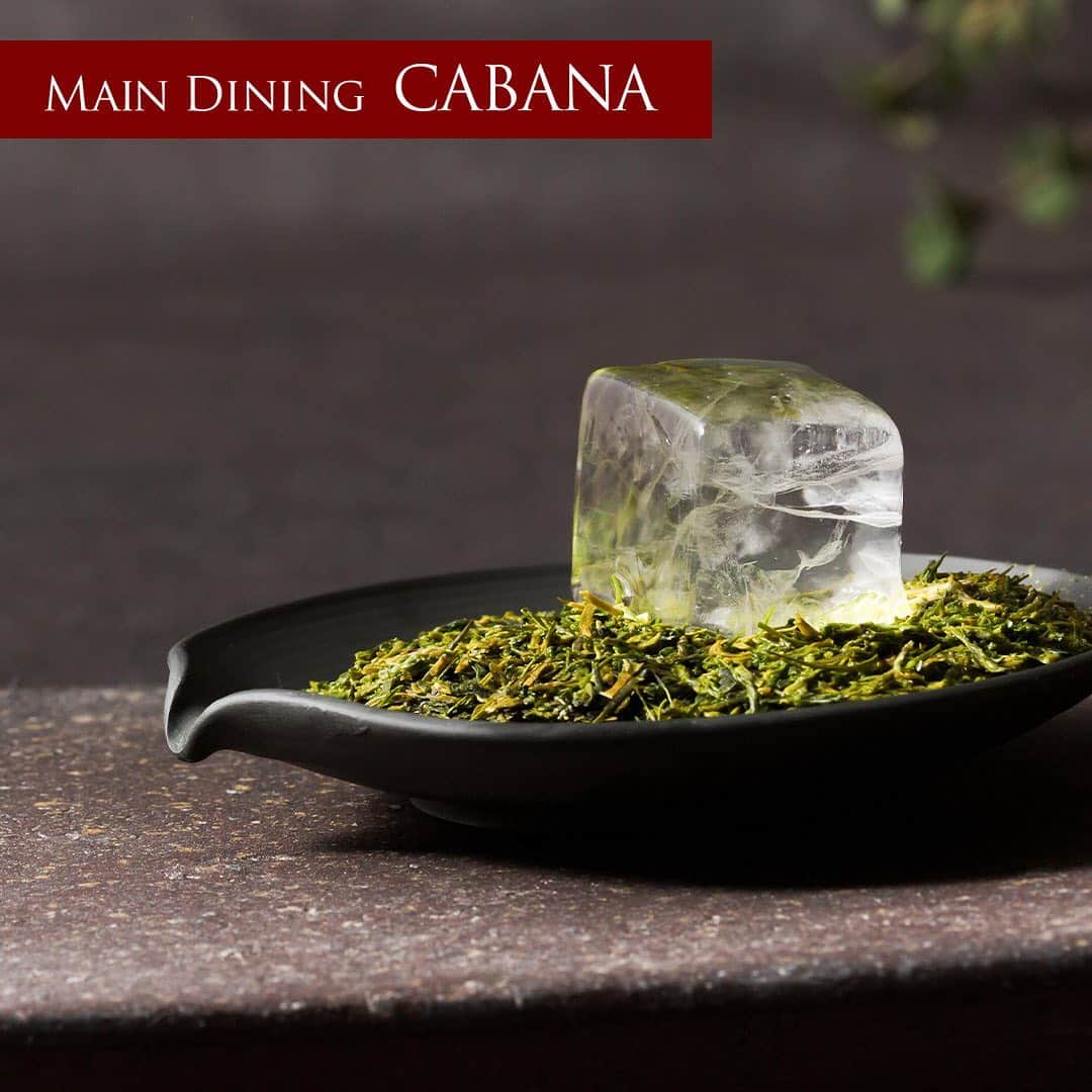 株式会社ポジティブドリームパーソンズのグルメインスタ