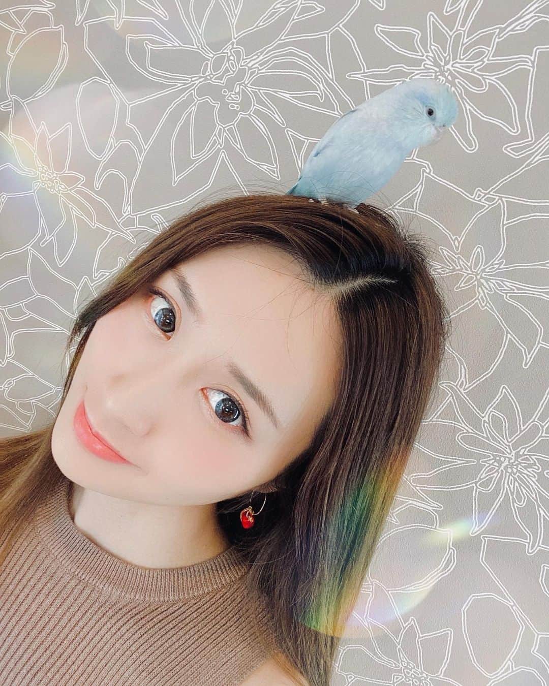 TONEAYUのインスタグラム