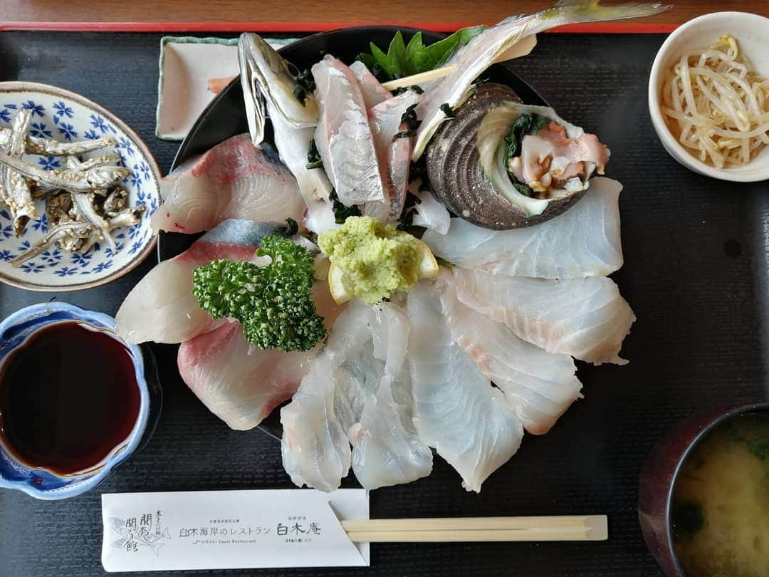 彦坂まなみさんのインスタグラム写真 - (彦坂まなみInstagram)「初めてピクピク動いたお魚を食べた🐟️🐟️ * ちょっと怖かった😢😢 * 美味しかったけど✨ * * 平日に行ったのに結構人がたくさんいてビックリした！ * * あと、髪色がとてもとてもお気に入りなので 誉めてください。。 よろしくお願いいたします。 * *  #大分県 #海鮮丼 #oitacameraclub #大分ランチ #ピクピク #japantravel #oita #九州 #おいしい #ごはん」6月16日 19時08分 - ma7am1