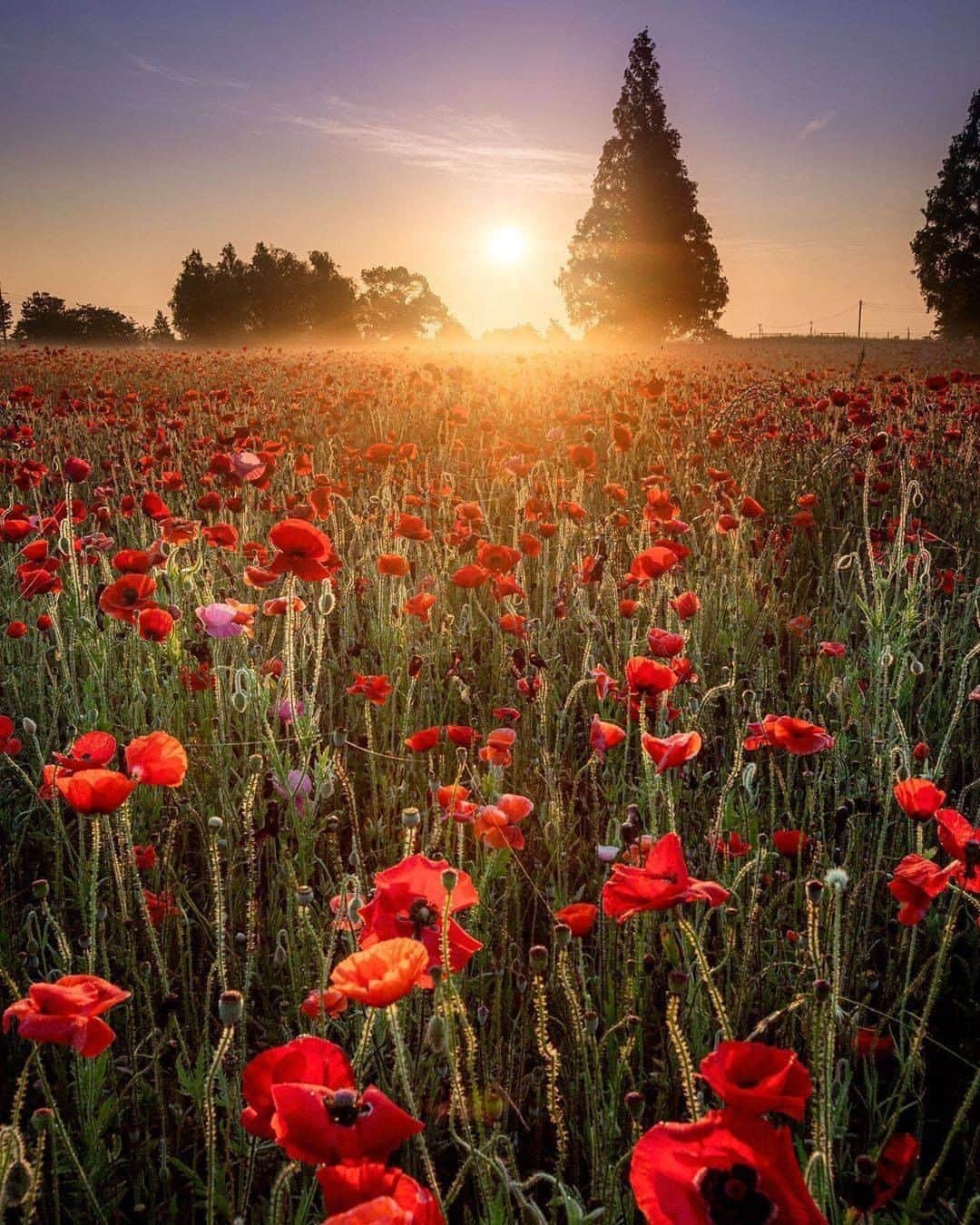 旅行メディア・じゃらん〈公式〉のグルメインスタ